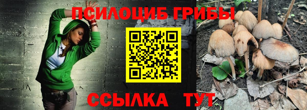 Кимовск  Галлюциногенные грибы мицелий  Вход с VPN 